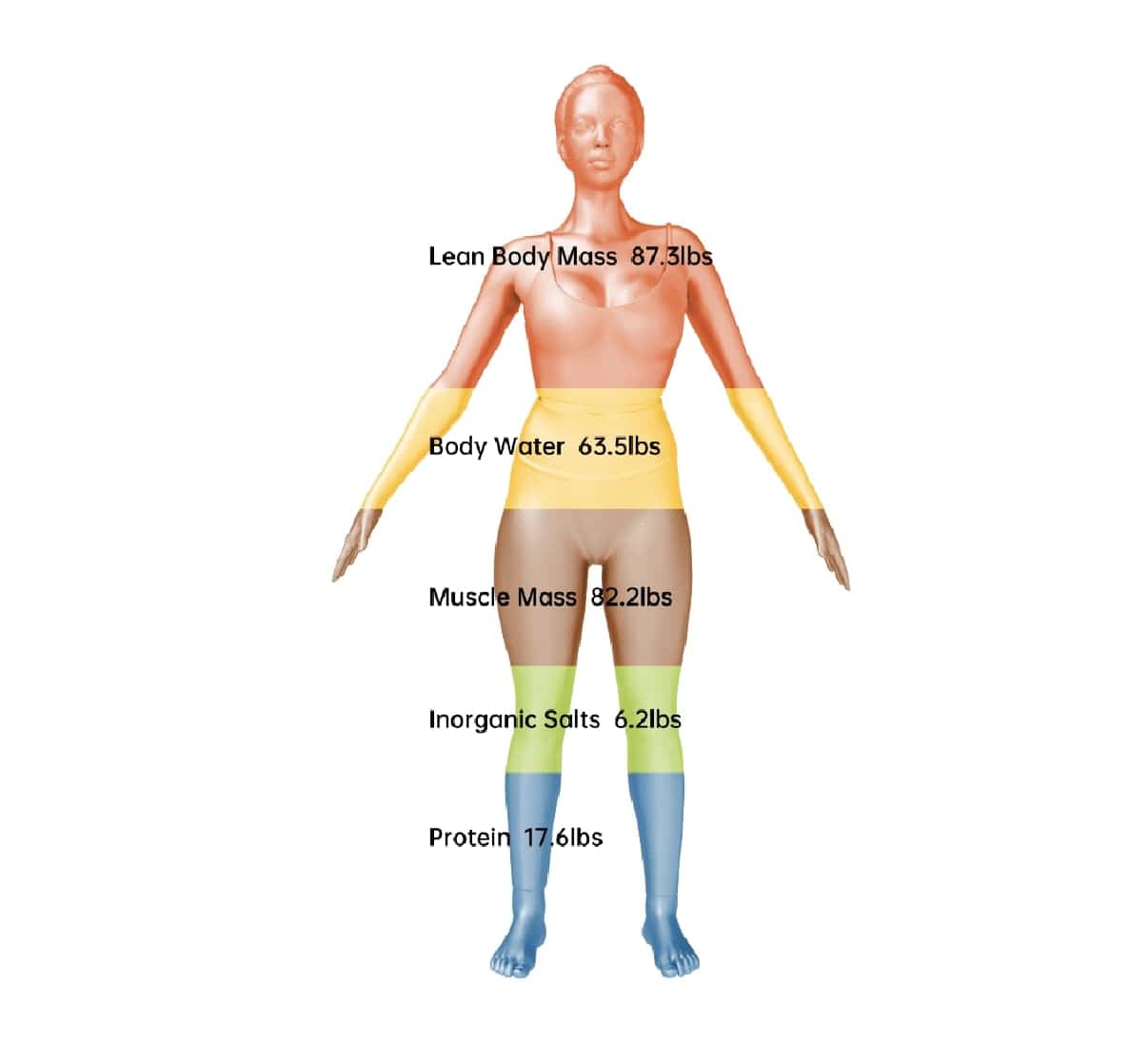 rapport-du-corps-15-Analyse-de-la-composition-corporelle-min Pesée Visbody Oxyty Montesson